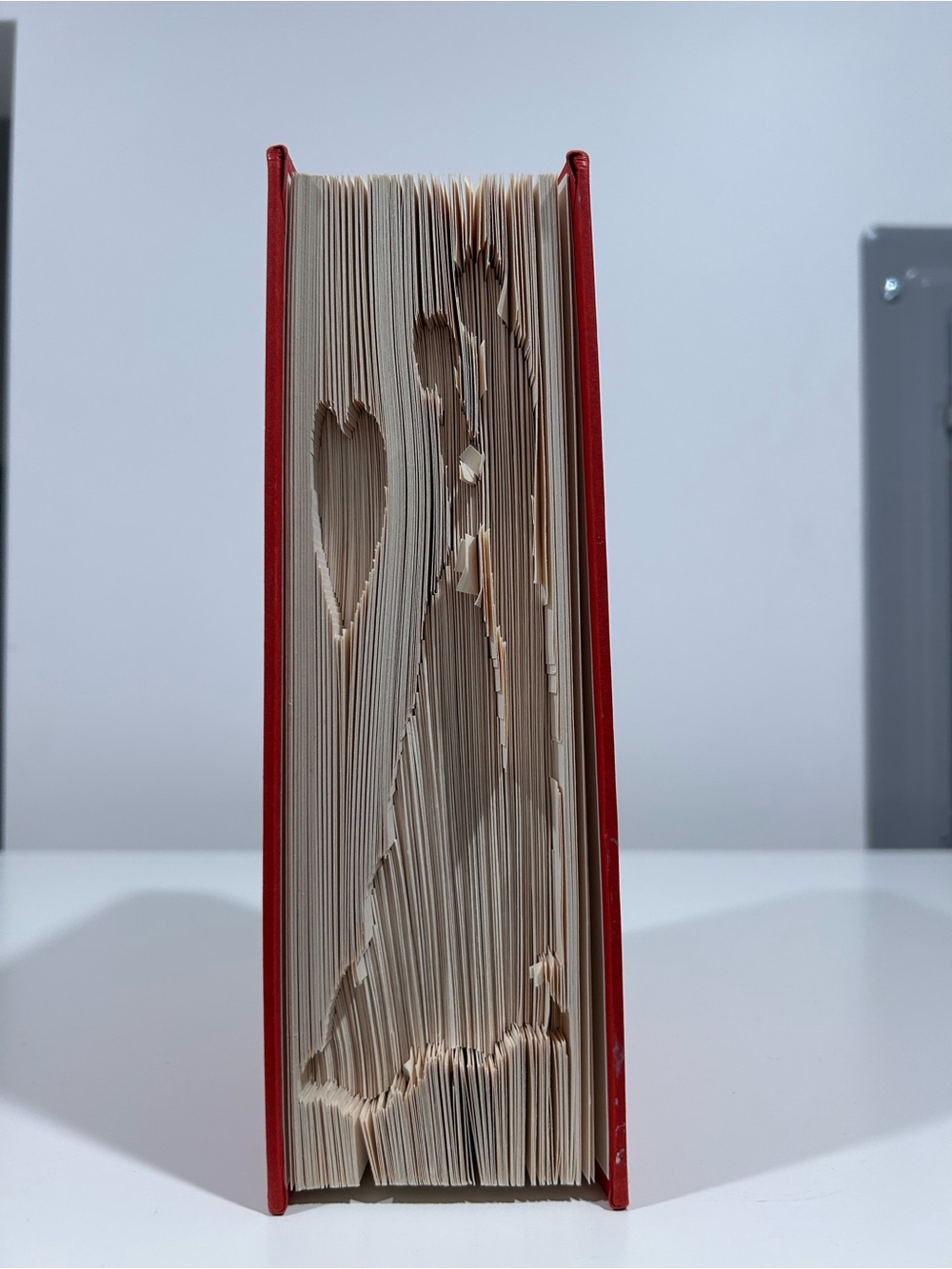 Red Hardcover Book Art Couple
